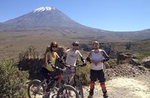 Half Day Mountain Biking Tour Around Misti Volcano