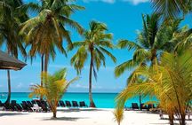 Full Day Saona Island Tour from Juan Dolio