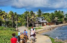 Mangrove tour,Horseback Riding, Snorkeling and beach in Roatan 