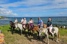 Mangrove tour,Horseback Riding, Snorkeling and beach in Roatan 