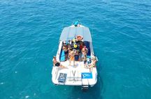 2 hour trip to see whales dolphins puerto colon adeje