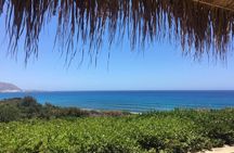 Chania Pink Beaches Private Tour: Elafonisi & Falassarna 