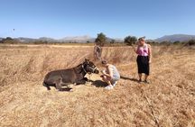 Private Jeep Tour - Zeus Cave - Cretan villages