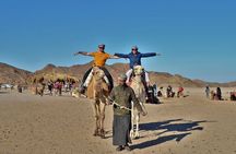 Sharm El-Sheikh: ATV, Camel Ride with BBQ Dinner and Show