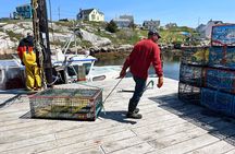 Private Experience Peggy's Cove and Coastal Sites Half-day Tour