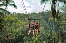 Private Tour in Ubud with Jungle Swing