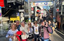 Highlight walking Tokyo tour with National Licensed guide 