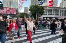 Highlight walking Tokyo tour with National Licensed guide 