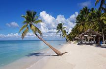 Tour in Saona Island from Santo Domingo