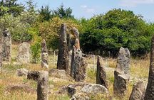  Day Trip to Adadi Rock and Tiya Archeological Excursion 