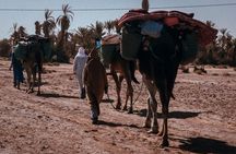 Desert Hike for 6 Days and 5 Nights