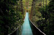The Mistico Hanging Bridges