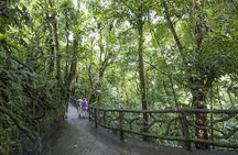 The Mistico Hanging Bridges