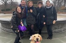 Discover Central Park Walking Tour