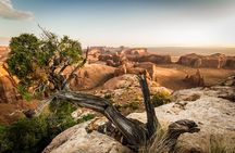 7 Hour Hunts Mesa Tour