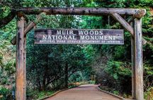 Private Muir Woods, Sausalito, and Marin Headlands Tour