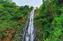 Materuni waterfalls day trip
