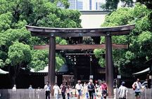 Tokyo Morning Half Day City tour with hotel pick-up by Gray Line