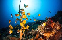 Nusa Penida 3 Fun Dives Boat Trip (For Certified Divers)
