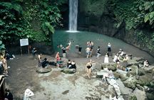 Half Day Ubud Waterfall Tour