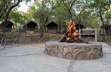 5 Day Kruger Glamping Safari and Panorama Tour