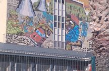 Cape Town: Selected Museums & Kirstenbosch Botanical Garden