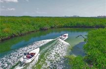 Speedboat Excursion: Thrilling Drive & Snorkel in Cancun Lagoon!