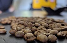 Specialty Coffee Cupping