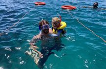 Cathedral Cove Coast and Cave Activity