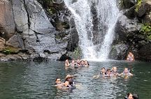 Byodo Temple and Waimea Botanical Garden Tour