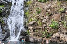Waimea Botanical Garden & Waterfall and Pali Lookout