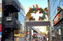Customize Your Tour Freely With Guide in Japan