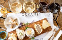 "Gourmet" Wine Tasting at Cesani's