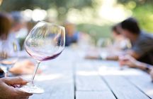 Wine Tour Athens to visit 2 of the most Award-Winning Wineries