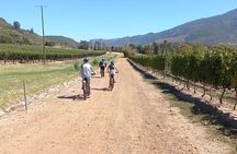 Franschhoek Shared E-Bike and Wine Tour