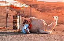 Agafay Desert: Dinner + Show with Quad Bike & Sunset Camel Ride