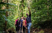 Saint Lucia: Cultural Immersion Experience 