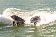 Everglades Kayak & Canoe Rentals