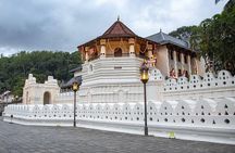 Kandy City Sightseeing and Ambuluwawa Tower by Tuk Tuk Tour