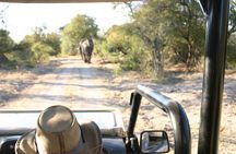 3 Hours Braai/BBQ Safari Game Drive in Zambezi National Park 