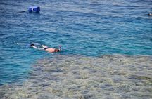 Sharm El Sheikh: Ras Mohammed and White Island VIP Boat Sea Trip