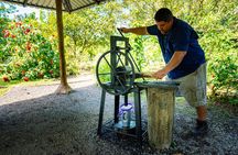 Sloth Tour in La Fortuna and Tortillas Cooking Class