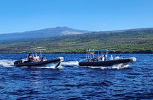Captain Cook Snorkel Tour with Sea Caves, History and Lava Tubes