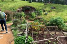 Private Hobbiton, Te Puia and Rotorua Day Tour from Auckland