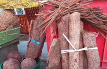 Private Tour in Belen Market, Floating City and Amazon River