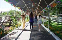 Tour to Lake Chapala, MAGIC TOWN of Ajijic from Guadalajara