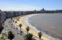 Half Day Private Montevideo City Tour