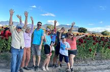 Small Group Boerve del Agua and Mezcal Tour from Oaxaca Centro