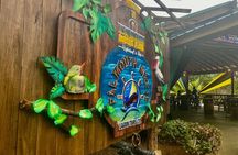 Martha Brae River Rafting & Luminous Lagoon Private Tour Falmouth