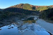 Yoshino Full Day Cycling + Hiking Tour 
